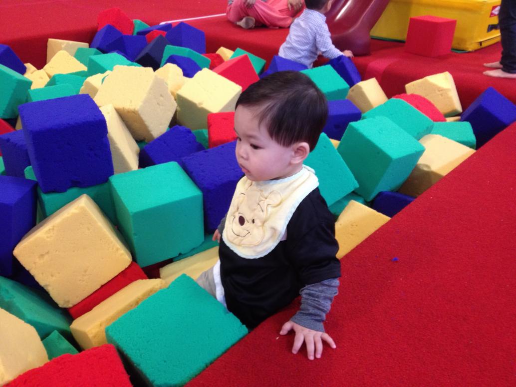 Sau cũng nhào xuống chơi.