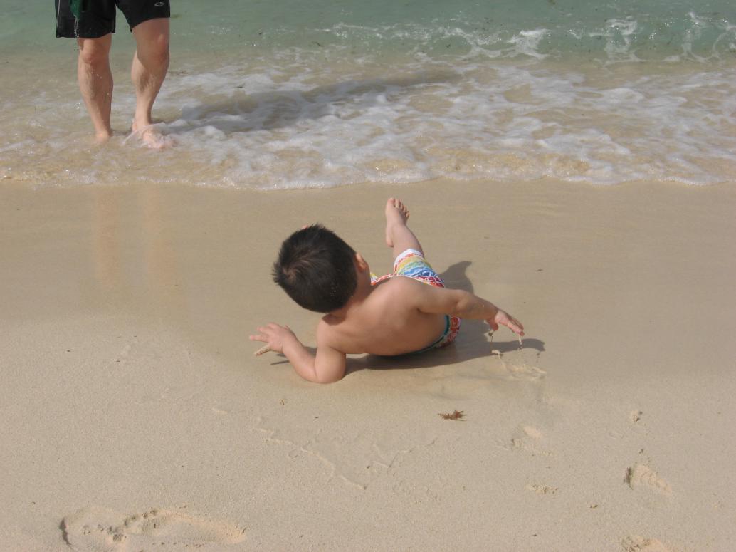 ...té lăn cù mèo vẫn cười nắc nẻ...