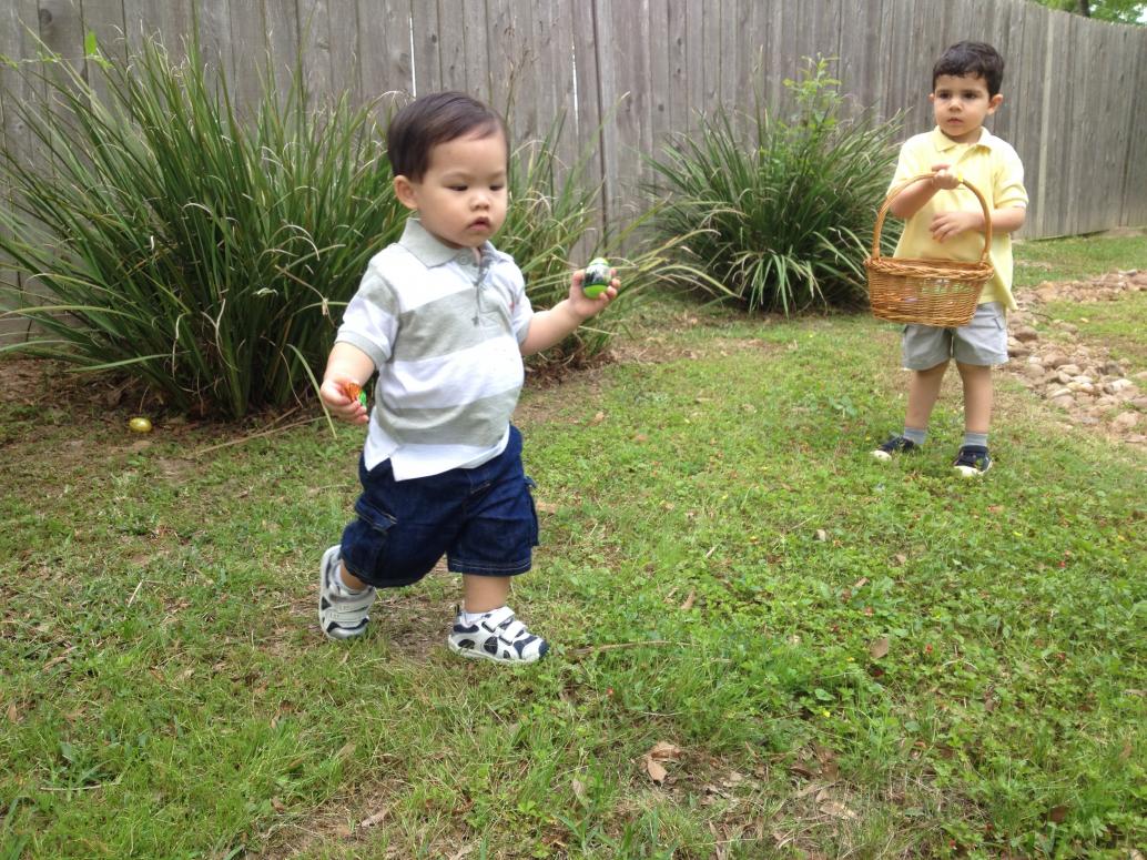 Nhưng mà tới lúc lượm trứng rồi.