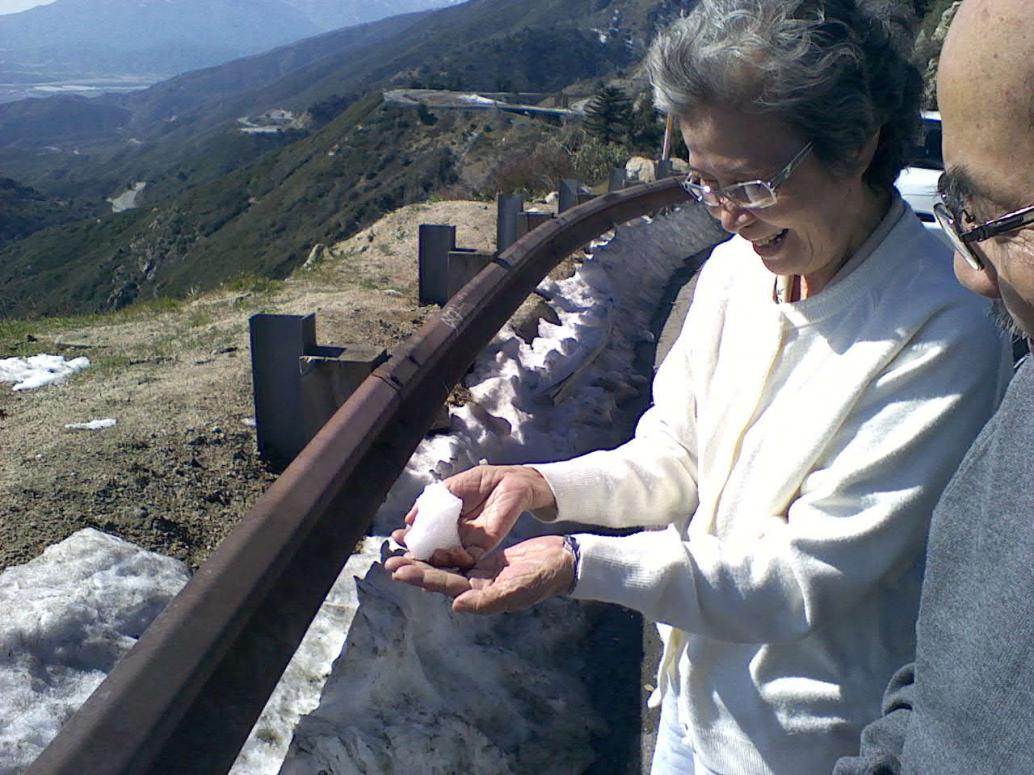 Ngoại cầm tuyết...