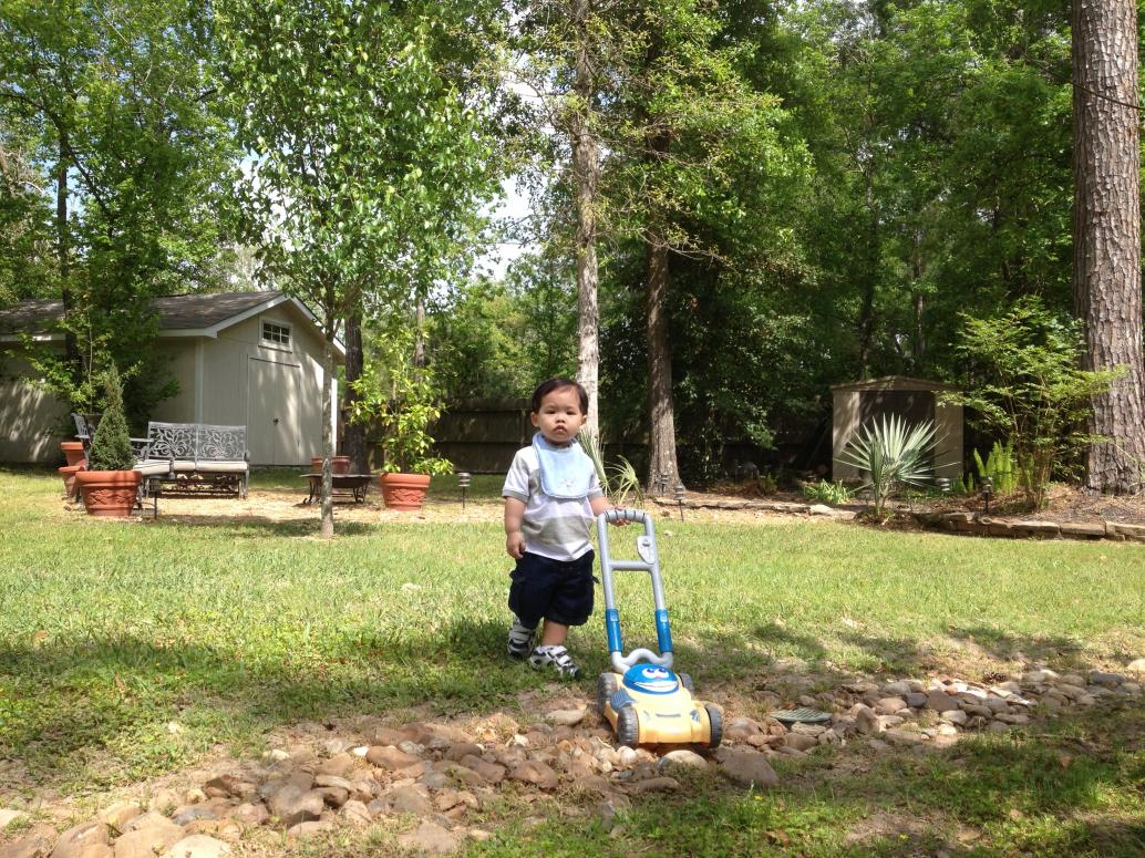 Có xe cắt cỏ nữa...