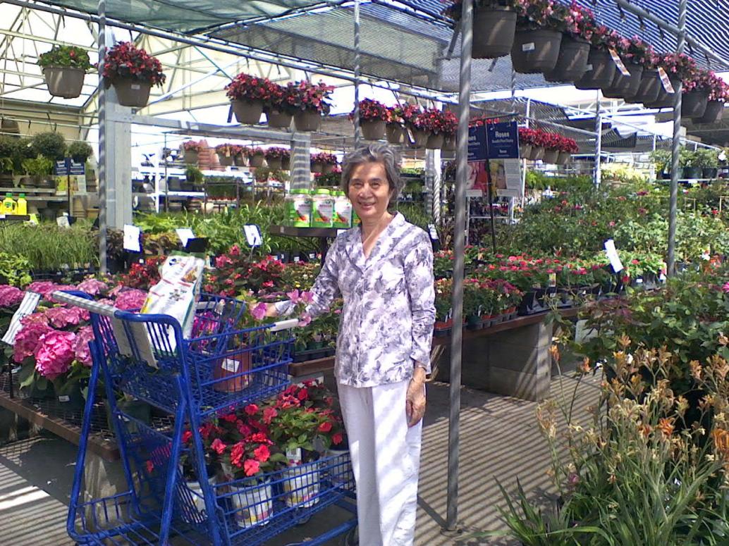 Bà Ngoại thích bông hoa lắm nên đi chợ mua về trồng.