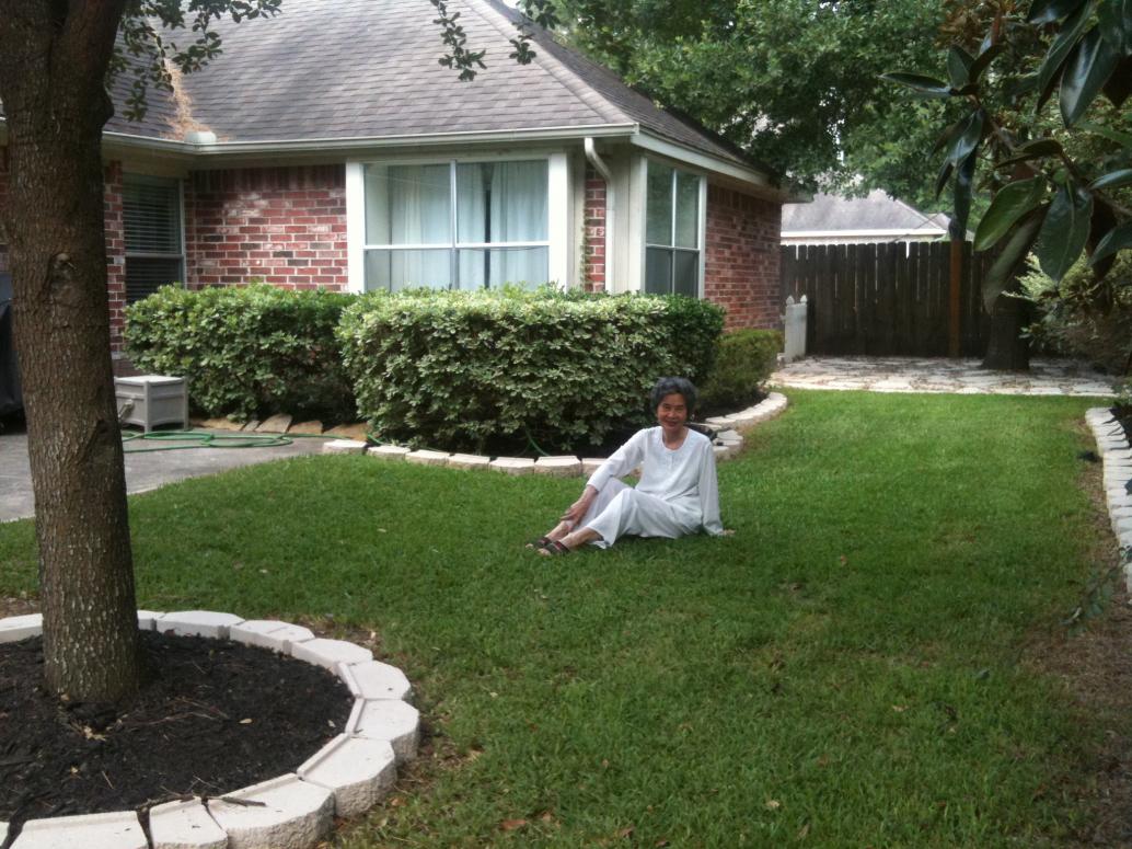 ...vườn mùa xuân nhiều lá nhiều cỏ ít hoa...