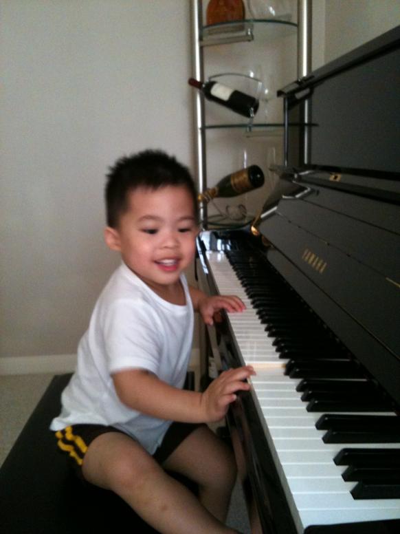 Đánh đàn chút xíu thôi rồi leo xuống nhưng nếu có ai ngồi vô đàn là con leo lên ngồi kế bên liền.