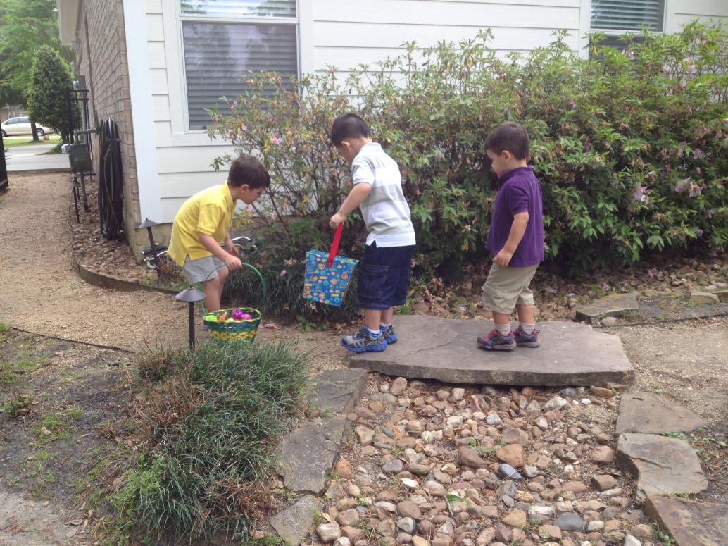 Ngoài bãi cỏ hết thì tìm trong bụi rậm.